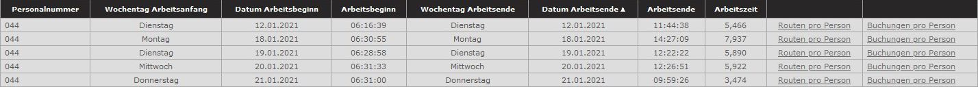 Auswertung der Fahrzeit und Arbeitszeit für Fahrer